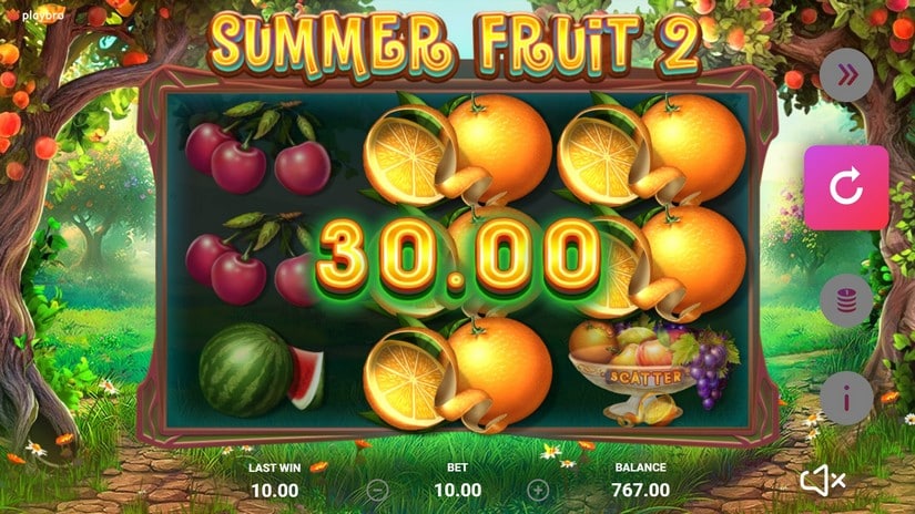 The Summer Fruit 2 slot screen 4