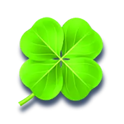 Icon 8 Bear’s Tricks