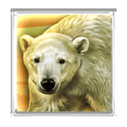 Icon 3 Wolf Fang Snowfall