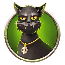 Icon 6 Spin and Spell