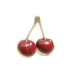 Icon 8 Mega Moolah Lucky Bells