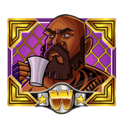 Wild Symbol of It’s Time Slot