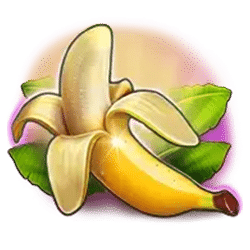 Scatter of 30 Fruitata Wins Slot