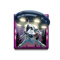 Icon 3 Back to Venus