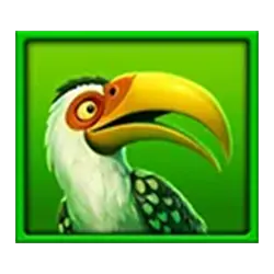 Icon 4 Safari Mystery