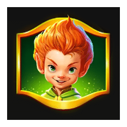 Wild Symbol of Coin Flynn Slot