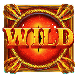 Wild Symbol of Path of Dragons Slot