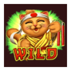 Wild Symbol of Midnight in Tokyo Slot