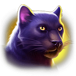 Icon 2 Tiger Stone: Hold and Win