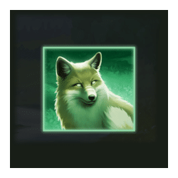 Icon 5 Blazing Bull 2