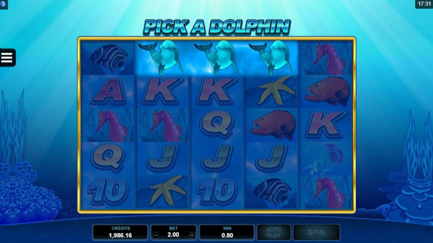 Dolphin Coast slot screen 3