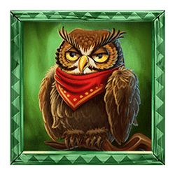 Icon 4 Wild Chapo Dream Drop