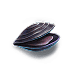 Icon 10 Siren’s Riches