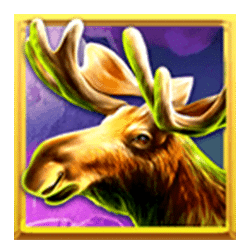 Icon 3 Wolf Fang Winter Storm