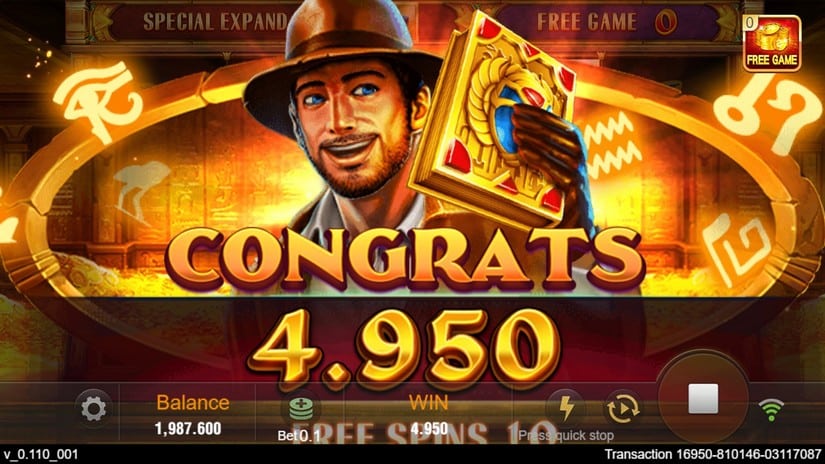 Book of Gold slot screen 6