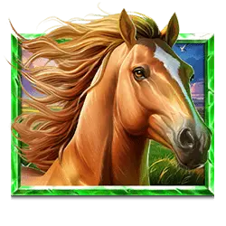 Icon 6 5 Wild Buffalo 2