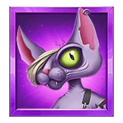 Icon 6 Cat Clans 2 Mad Cats