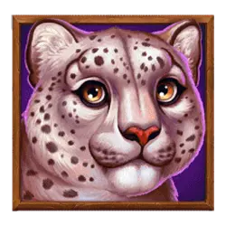 Icon 2 Polar Bonanza