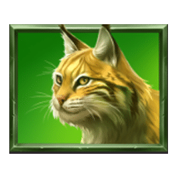 Icon 3 Bisonado PrizeMatch