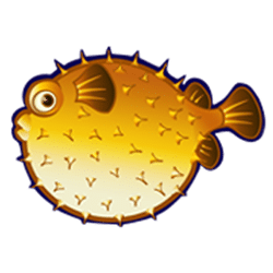 Icon 5 Wild Shark Bonus Buy