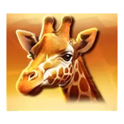 Icon 3 3 African Drums