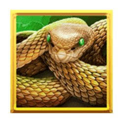 Icon 5 Wolf Fang – Golden Sands