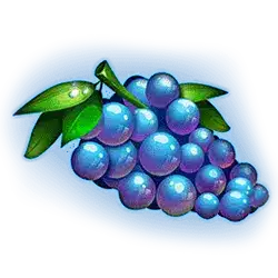 Icon 7 Miami Bonus Wheel