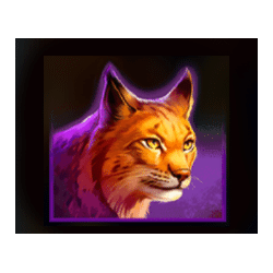 Icon 6 Eagle Power: Hold and Win