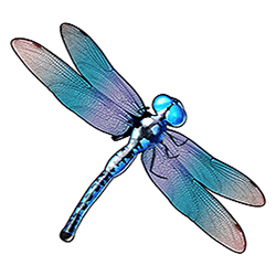 Icon 3 Big Bass Splash