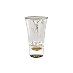 Icon 9 Walk of Shame