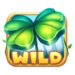 Wild Symbol of 40 Bulky Fruits 6 Reels Slot