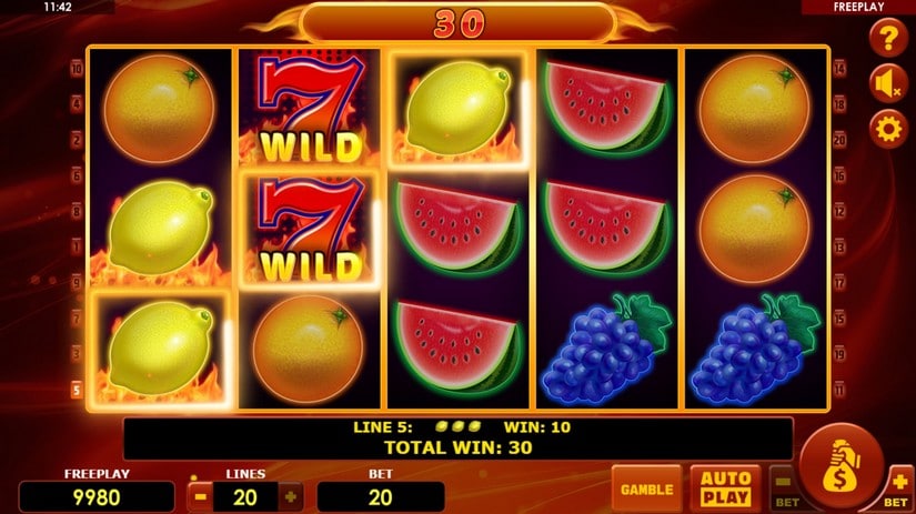 Hot Fruits 20 slot screen 4