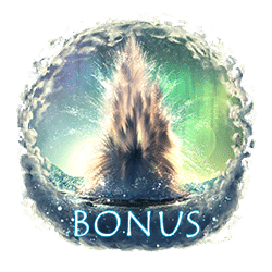 Bonus of Kamchatka Slot