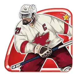 Icon 4 Hockey League Wild Match