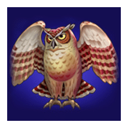 Icon 5 Book of Fortune