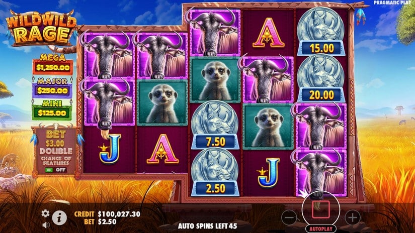 Wild Wild Rage slot screen 5