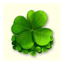 Icon 7 Lucky Lady’s Charm Deluxe