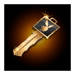 Icon 7 Playboy Fortunes