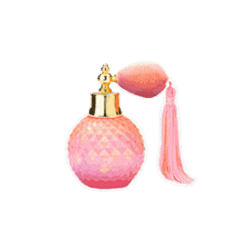 Icon 6 Prize of Paris