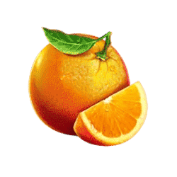 Icon 5 Dice Dice Baby