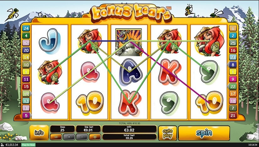 Bonus Bears slot screen 3