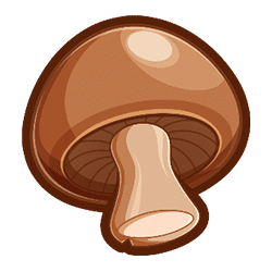 Icon 5 Oodles of Noodles