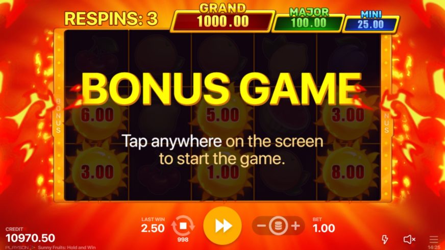 Sunny Fruits: Hold and Win slot screen 3