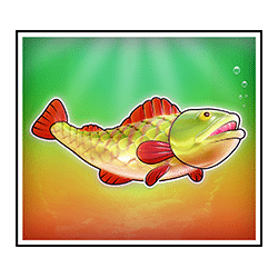 Icon 11 Big Bass Amazon Xtreme