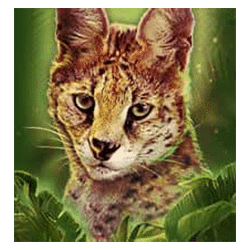 Icon 4 Big Cat Rescue MegaWays