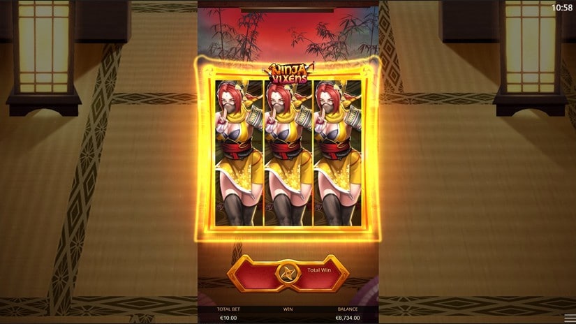 Ninja Vixens slot screen 7