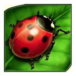 Icon 3 Lucky Lady’s Charm Deluxe