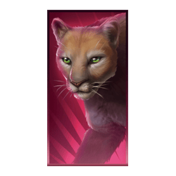 Icon 5 Buffalo Dale: Grandways