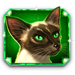 Icon 5 Kitty Glitter Grand