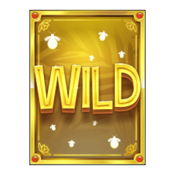 Wild Symbol of Multifly Slot